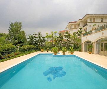 Project Image of 352.0 - 872.0 Sq.ft 1 BHK Apartment for buy in Wadhwa Rhodesia