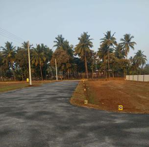 Project Images