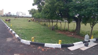 Project Image of 800.0 - 1550.0 Sq.ft Residential Plot Plot for buy in Vamanan Platinum City