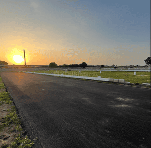 Project Image of 585.0 - 3926.0 Sq.ft Residential Plot Plot for buy in SIP Romera Phase II