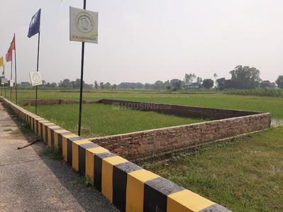 Project Image of 1076.0 - 2153.0 Sq.ft Residential Plot Plot for buy in Stallion Valley