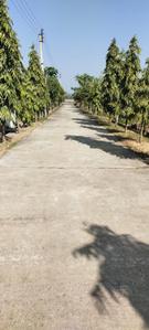 Project Image of 980.0 - 1800.0 Sq.ft Residential Plot Plot for buy in Griha Pravesh Janapriya Abasan