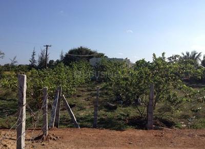 Residential Lands for Sale in Vamanan MM Nagar Phase 2