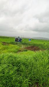 Mumbai Plot In Panvel Plot 2