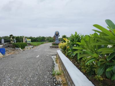 Project Image of 1350.0 - 4401.0 Sq.ft Residential Plot Plot for buy in Prakash Suradru