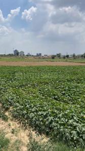 Gallery Cover Pic of Madhav Enclave