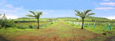 Project Image of 1765.0 - 12540.0 Sq.ft Residential Plot Plot for buy in Mirador Oasis Estate Phase 2