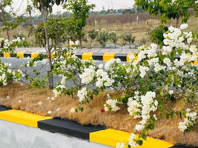Project Image of 1836.0 - 2700.0 Sq.ft Residential Plot Plot for buy in Pavan Green West 1