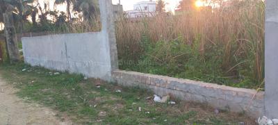 Project Image of 720.0 - 2880.0 Sq.ft Residential Plot Plot for buy in Maya Kolkata Land Complex