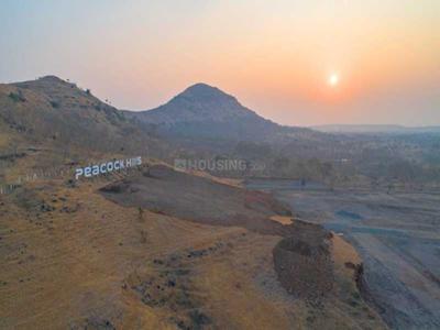 Peacock Hills Elevation 1