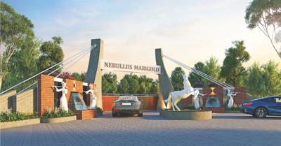 Project Image of 660.0 - 1100.0 Sq.ft 1 BHK Villa for buy in Nebullus Marigold