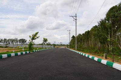 Project Image of 1200.0 - 1500.0 Sq.ft Residential Plot Plot for buy in Alora Woods And Himagiri Arcadia