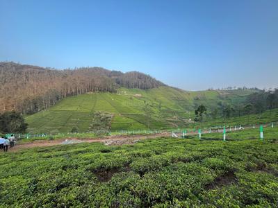 Project Image of 1000.0 - 12589.0 Sq.ft Residential Plot Plot for buy in Green Farm Estates