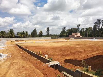 Project Image of 1200.0 - 5000.0 Sq.ft Residential Plot Plot for buy in Enrich Garden City