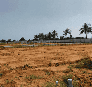 Project Image of 1127.11 - 2241.69 Sq.ft Residential Plot Plot for buy in Falcon Sun And Serenity