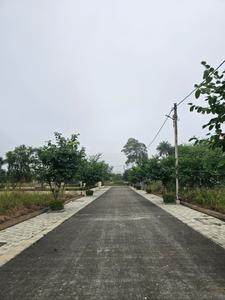 Project Image of 880 Sq.ft Residential Plot / Land for sale in Bada Bangarda for Rs. 4312000