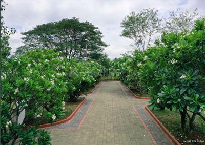 Project Image of 4000.0 - 6500.0 Sq.ft Residential Plot Plot for buy in Rivergate Aranya
