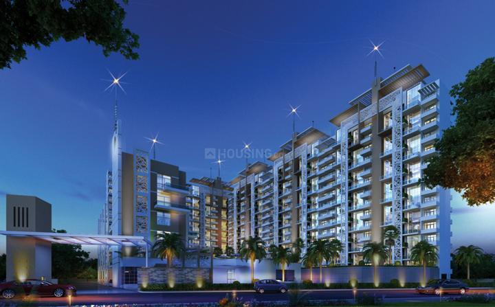 Rise Organic Homes - Image 3