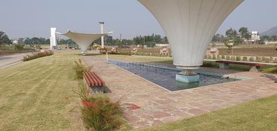 Graphic Empire Wild Flower Elevation 1