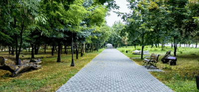 Project Image of 389.44 - 893.51 Sq.ft 1 BHK Apartment for buy in Embassy Verde Phase 2