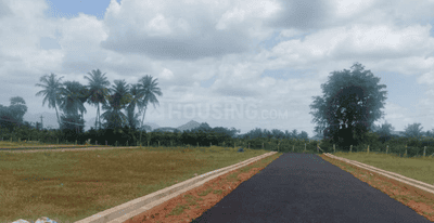 Project Images