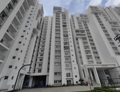 Project Image of 470.0 - 1256.0 Sq.ft 1 BHK Apartment for buy in Rohan Upavan Phase 1