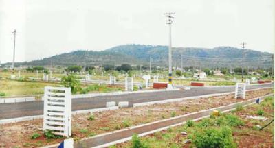 Project Images