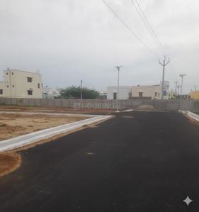 Project Images
