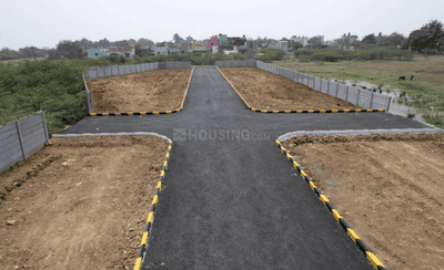 Project Images