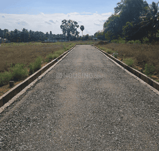 MS Nagar Plot 1
