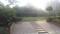 Homes Sun View Apartment Landscape Garden and Tree Planting 3