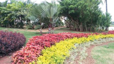 Project Image of 1108.0 - 2400.0 Sq.ft Residential Plot Plot for buy in Shriram Godhuli