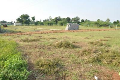 Project Image of 500.0 - 1441.0 Sq.ft Residential Plot Plot for buy in Vetri Grace Nagar Phase 2