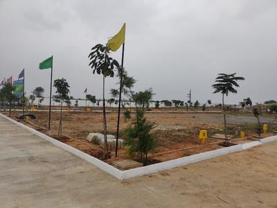 Project Image of 800.0 - 1300.0 Sq.ft Residential Plot Plot for buy in Pruthvi Asset