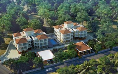 B&F Woods Images for Project 1