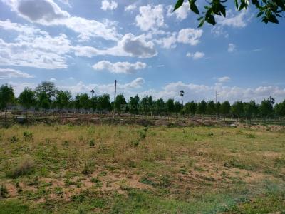 Project Image of 1440.0 - 2547.0 Sq.ft Residential Plot Plot for buy in Viraaditya Green Avenue