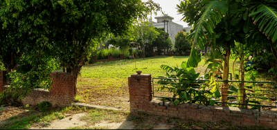 Project Image of 1030.0 - 38749.65 Sq.ft Residential Plot Plot for buy in Ashok Malhotra Palm City Phase II