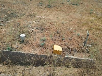 Project Image of 0.0 - 1200.0 Sq.ft Residential Plot Plot for buy in SS Residency
