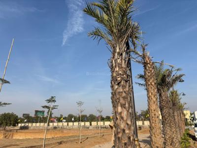Project Image of 894.15 - 3858.86 Sq.ft Residential Plot Plot for buy in Palmera Garden Phase 1