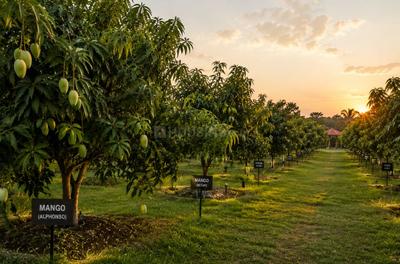 Siyora Spring Fields Amenities 3
