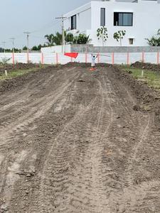 Project Image of 1503.0 - 2025.0 Sq.ft Residential Plot Plot for buy in Mynenis Lemon Valley