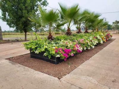 Project Image of 600 Sq.ft Residential Plot / Land for sale in Chhachhanpairi for Rs. 800000
