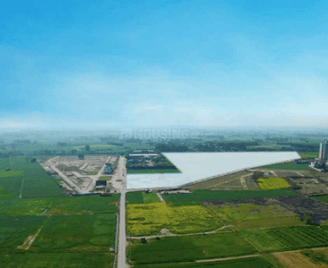Project Image of 1150 Sq.ft Residential Plot / Land for sale in Sector 115 for Rs. 8000000