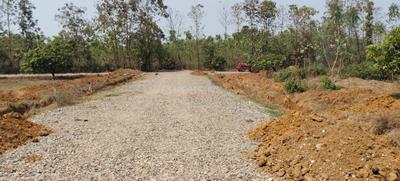 Project Image of 2700.0 - 5643.0 Sq.ft Residential Plot Plot for buy in Pratap Green Fields