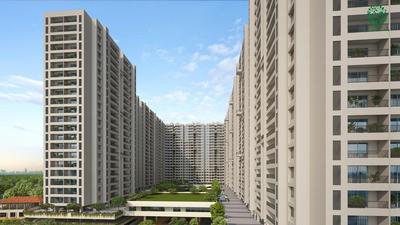 Treeland Elevation 1