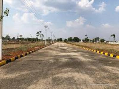 Project Image of 1665.0 - 9108.0 Sq.ft Residential Plot Plot for buy in Newmark Green Park A