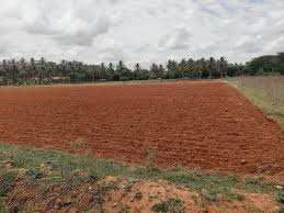 Project Image of 1000.0 - 10000.0 Sq.ft Residential Plot Plot for buy in Mahamumbai Plots in Chirle