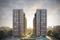Elenza Greenwood Elevation 2