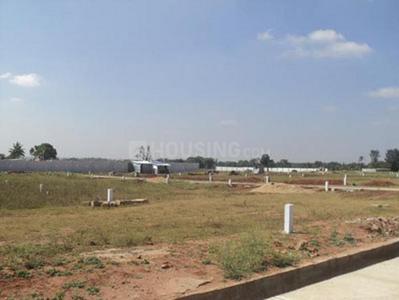 Confident Indus Elevation 1