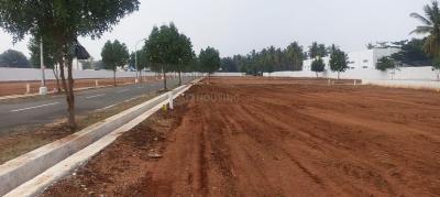 Project Image of 2358.0 - 4008.0 Sq.ft Residential Plot Plot for buy in Daisy Garden